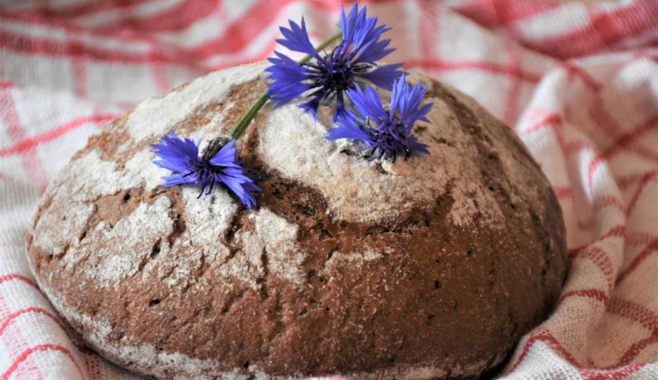 pane di kamut