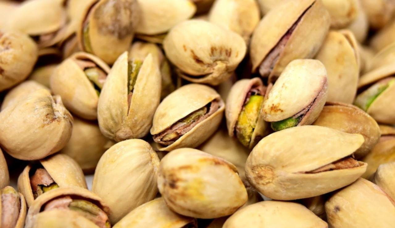 pistacchi