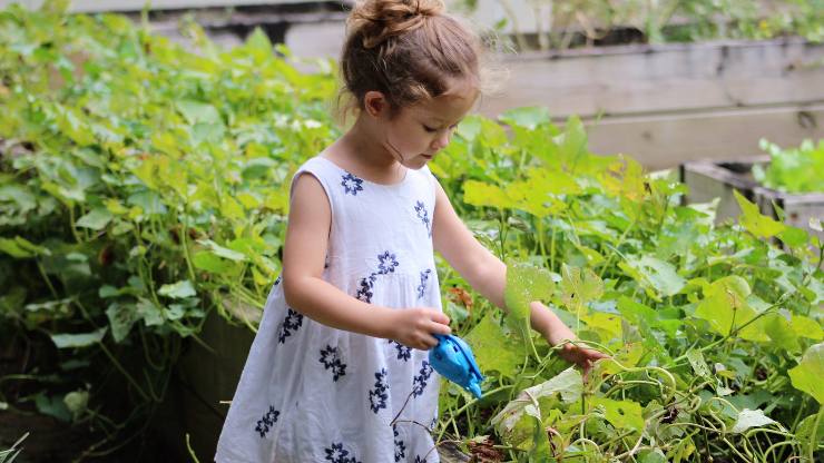 bambina giardino piante tenere lontano vespe calabroni