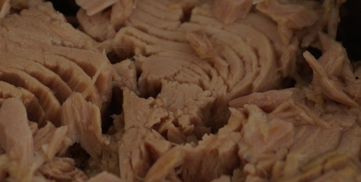 piatto di tonno piatto di tonno