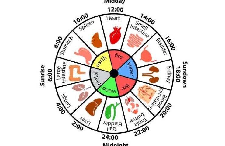 Ruota medicina tradizionale cinese