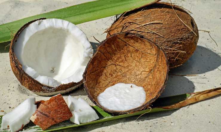 cocco