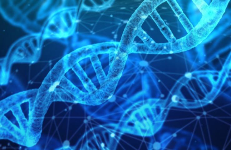 Dna e anticorpi neutralizzanti