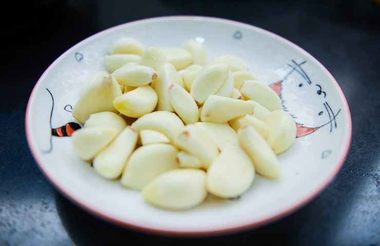 Teste d'aglio sul piatto
