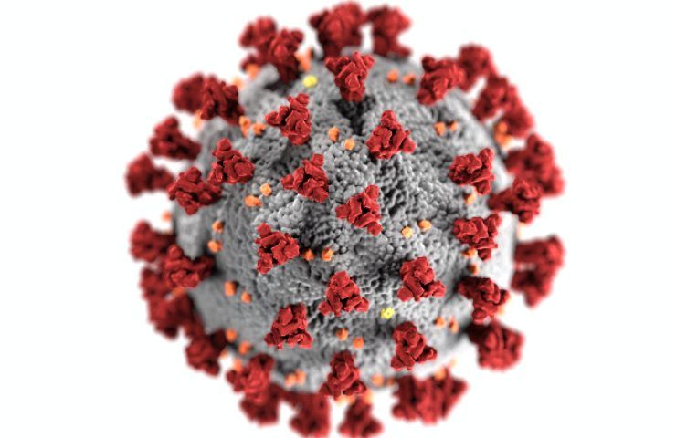 Covid-19 anticorpi neutralizzanti vaccino