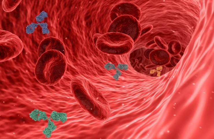 Difese immunitarie