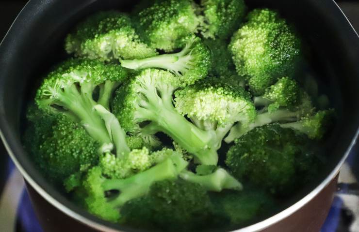 Broccoli