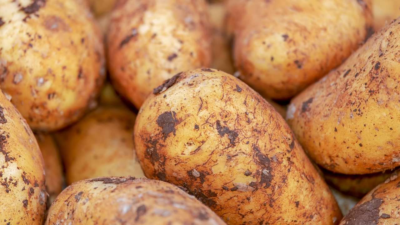 riciclare le bucce di patate