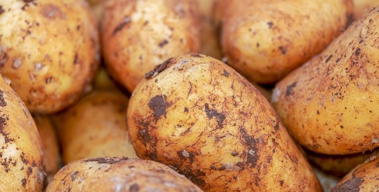 riciclare le bucce di patate