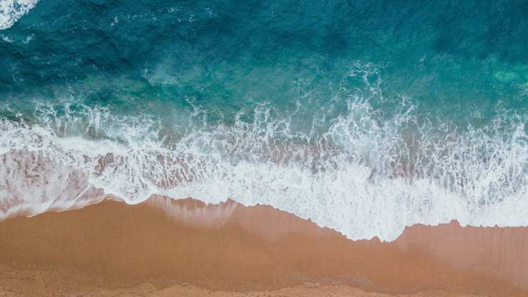 Cucinare con l'acqua di mare: come farlo in modo sicuro