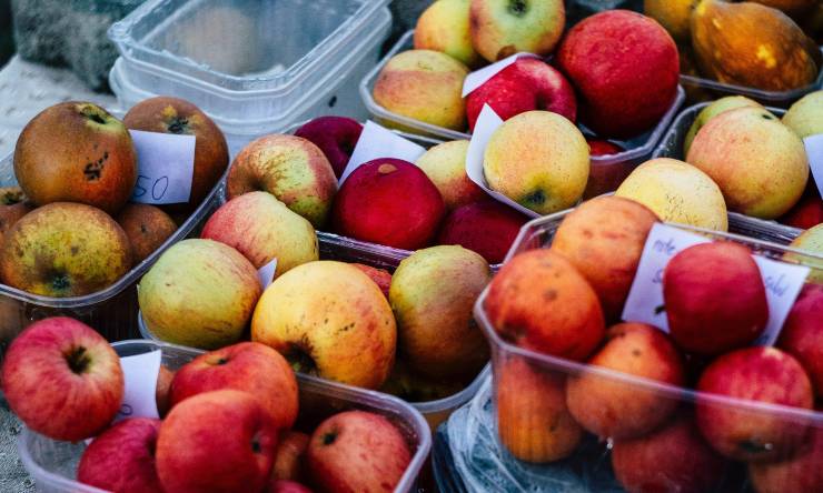 eliminare moscerini da frutta e verdura