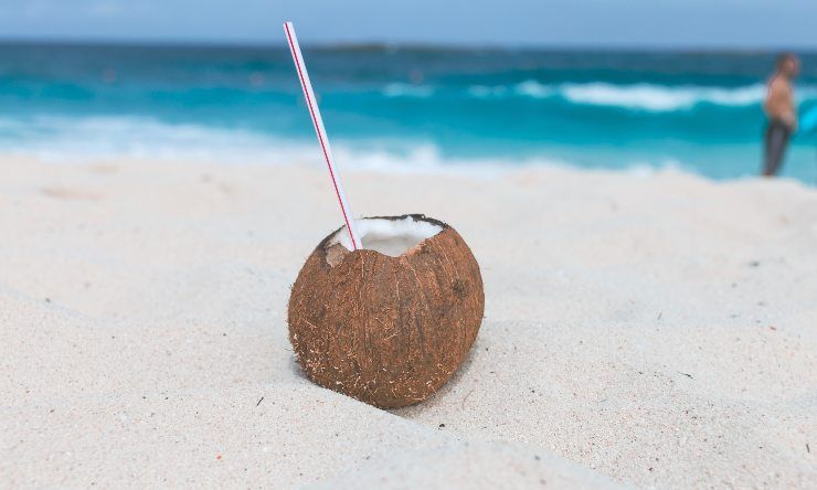 cocco in spiaggia