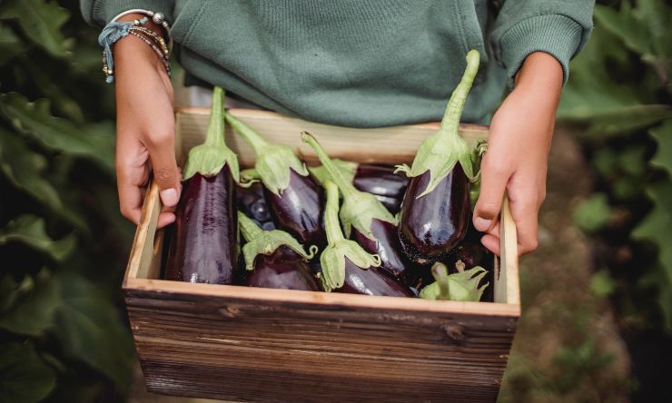 ricette con bucce di melanzane