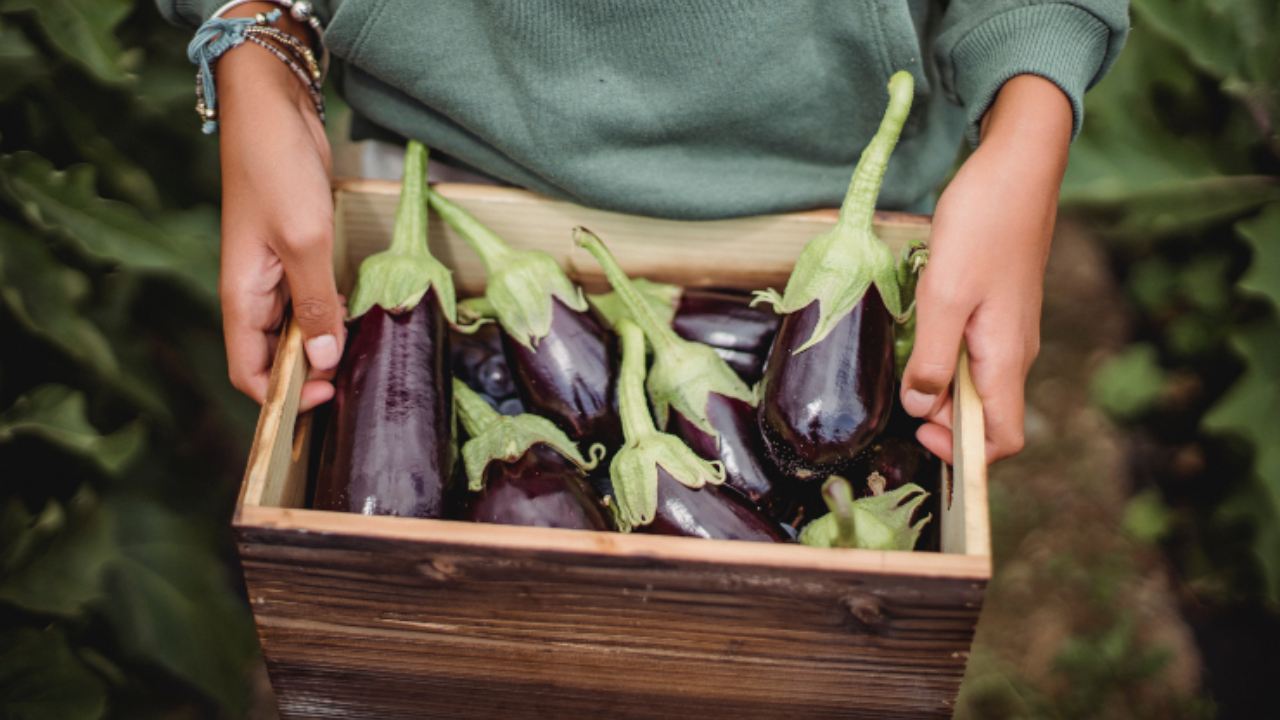 ricette con bucce di melanzane