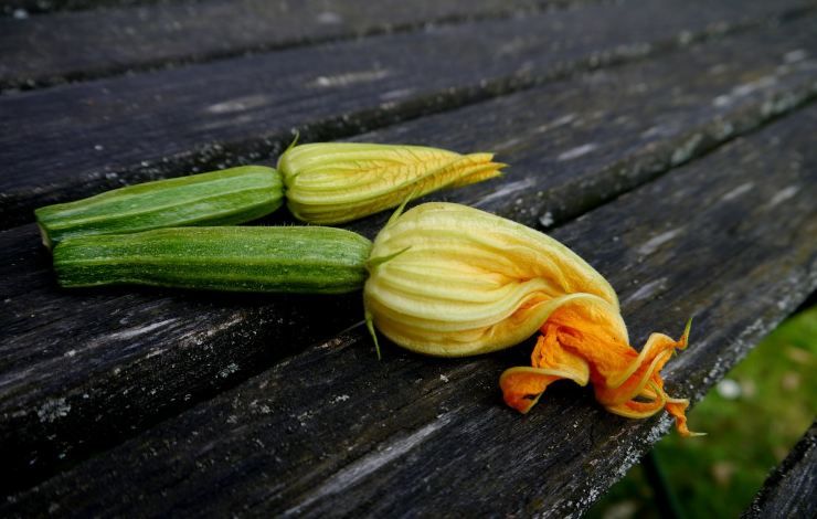 zucchine