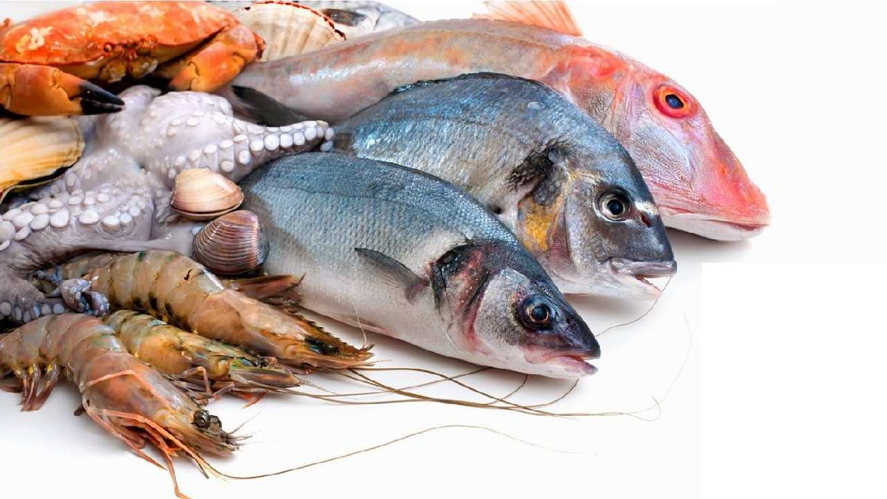 Pesci e dieta