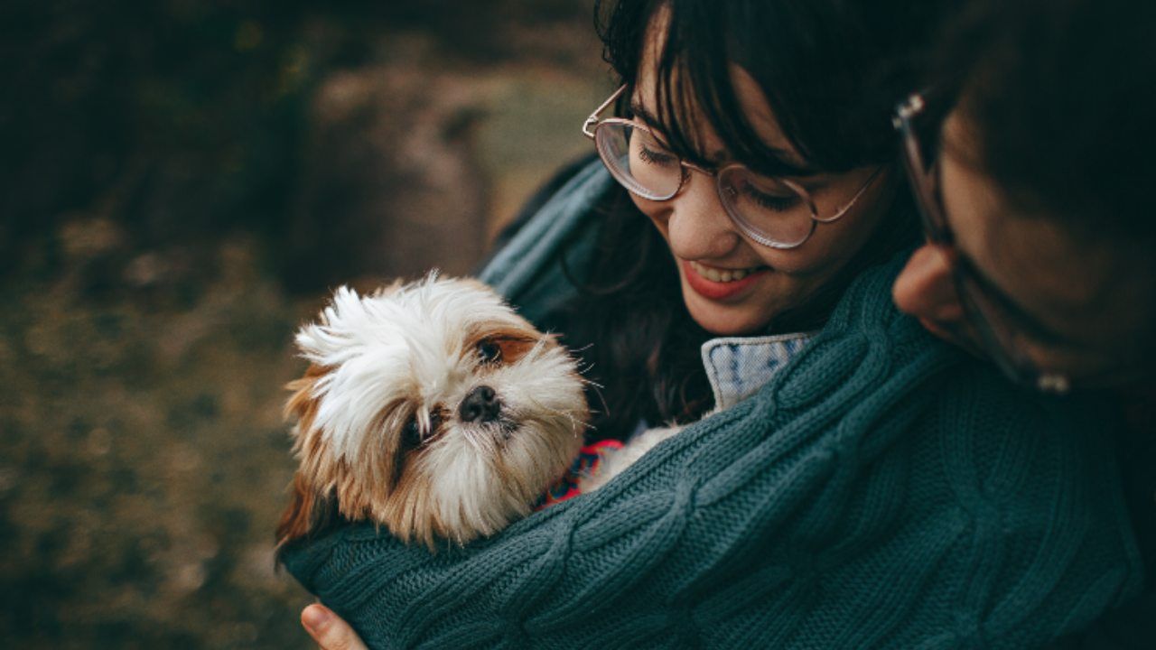 segno zodiacale animale domestico