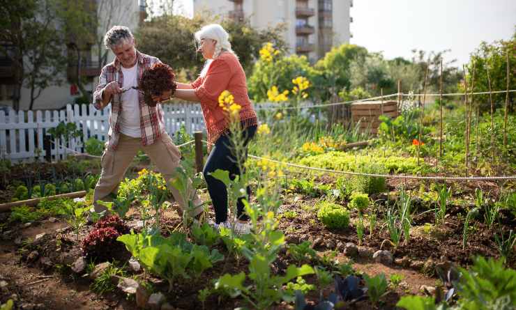 lavori nell'orto a settembre