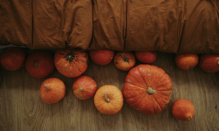 tagliare la zucca