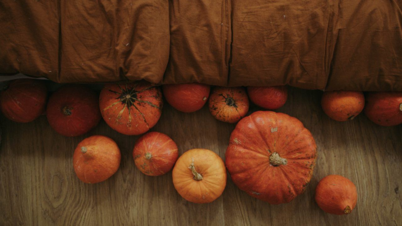 tagliare la zucca