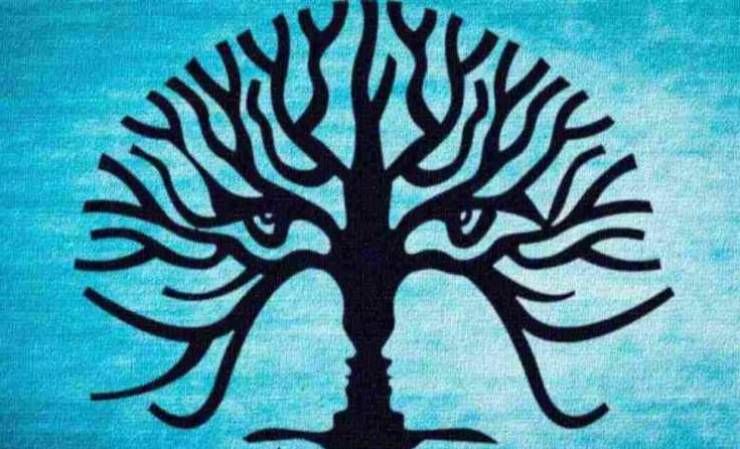 test albero