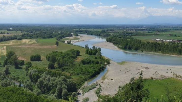 Foresta Condivisa Piemonte