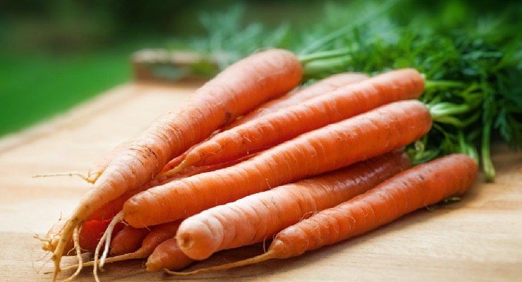 Trucco conservare carote