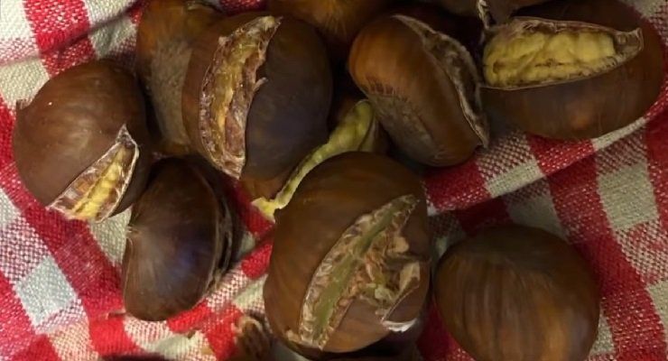 Castagne al forno trucco chef Barbieri