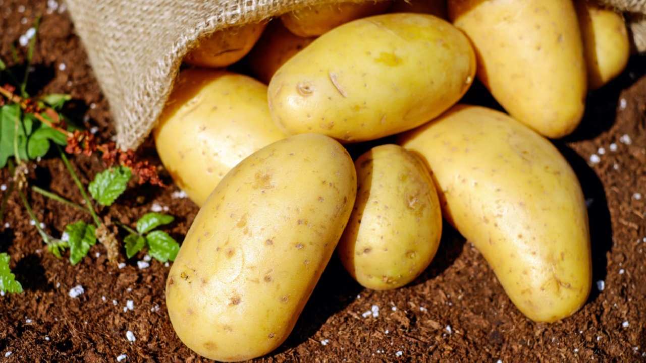 Conservare patate per non germogliare