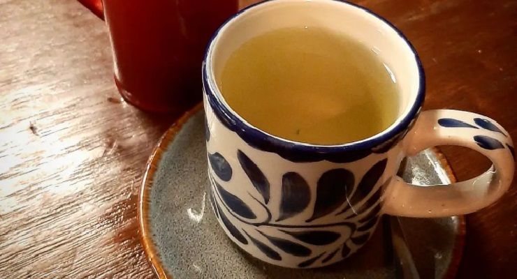 depurare organismo con tisane tè e infusi