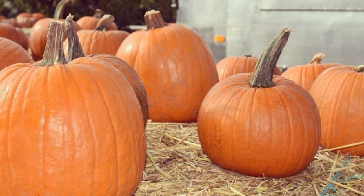 Eliminare buccia zucca senza fatica