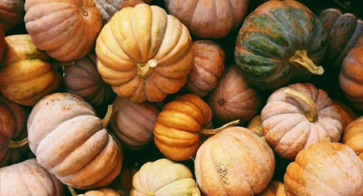 Eliminare buccia zucca senza fatica