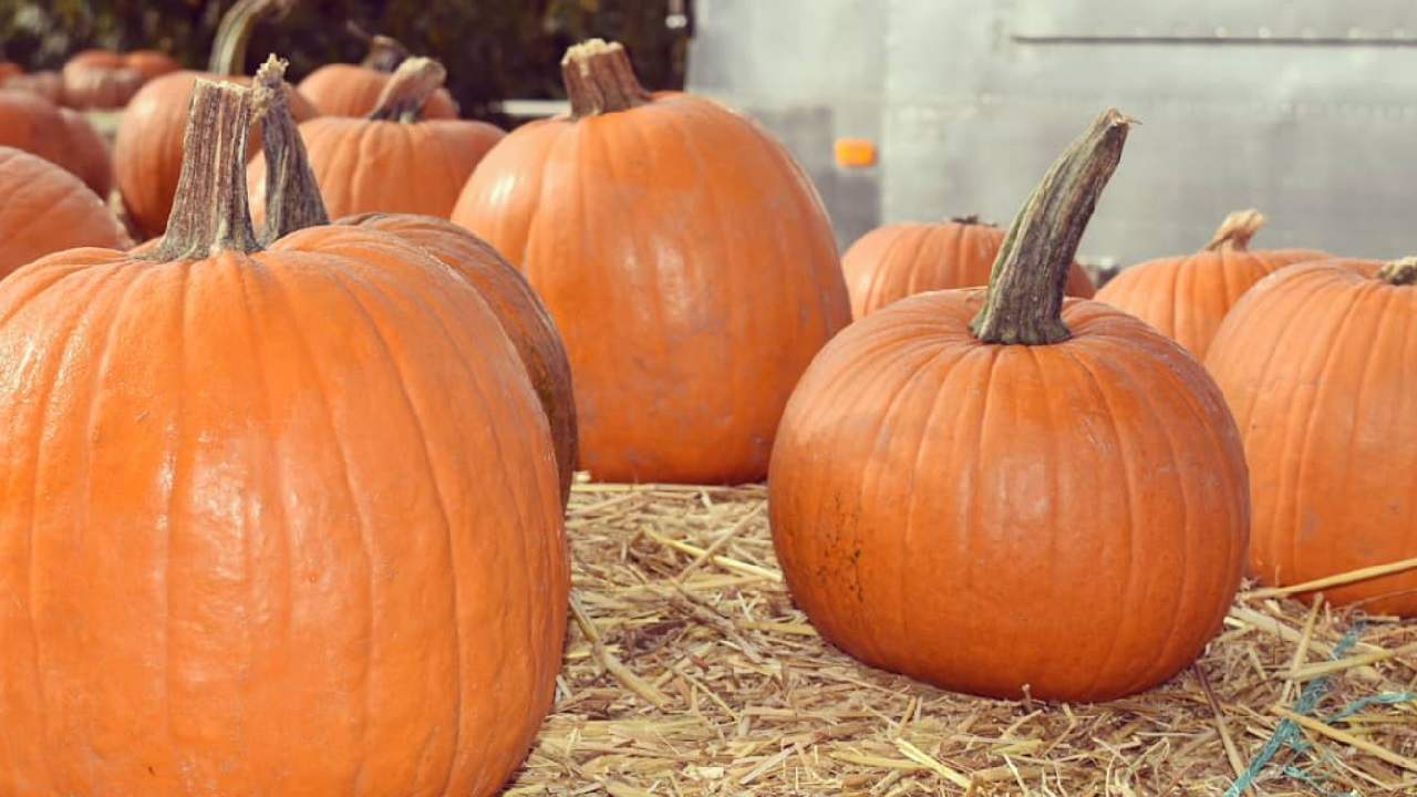 Eliminare buccia zucca senza fatica