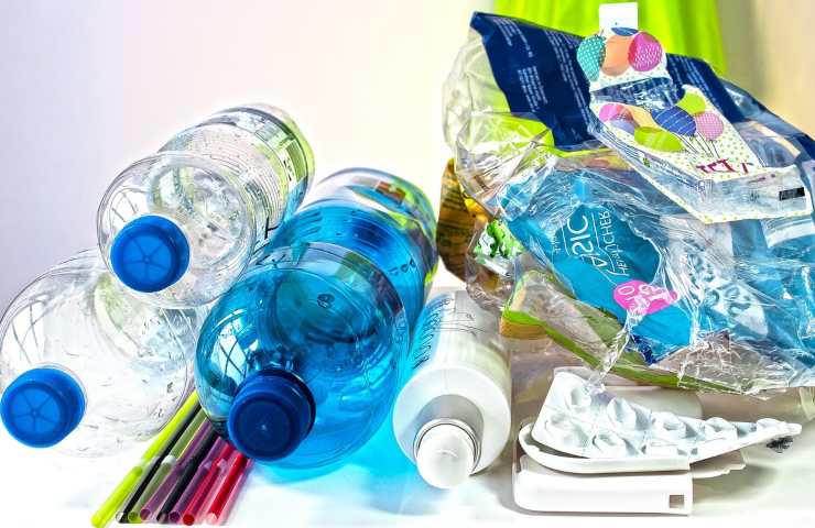 come creare una composizione con la plastica e le piante