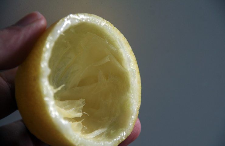 come usare la buccia di limone