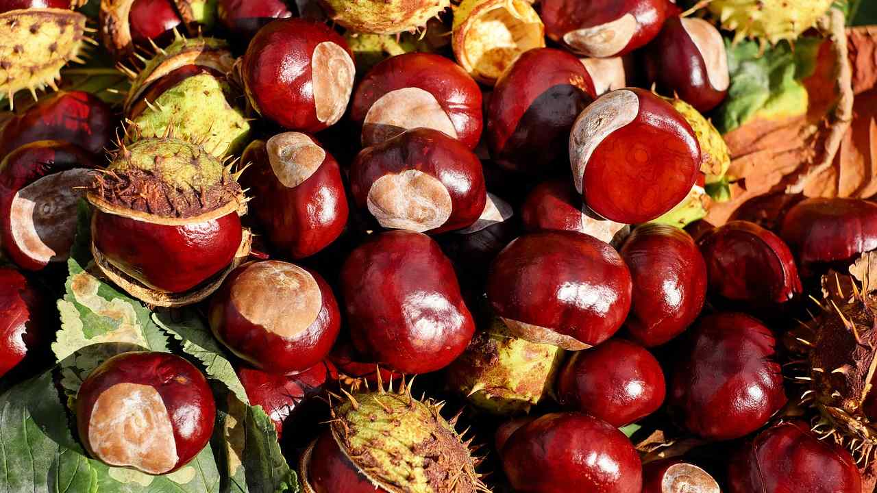 come fare delle ottime castagne