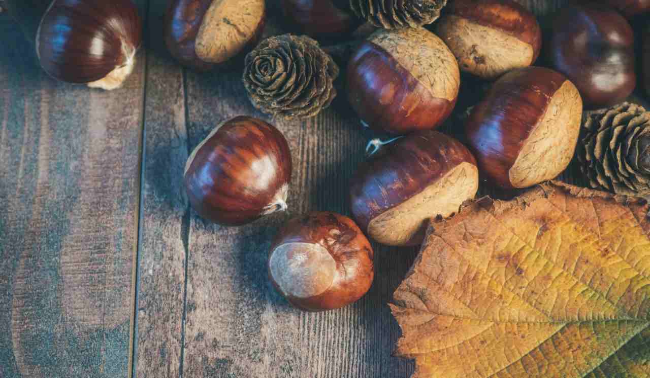 castagne