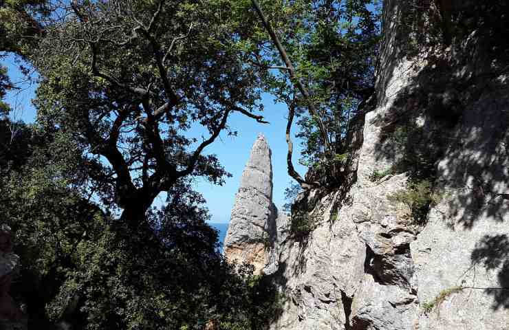 centenari-zone blu