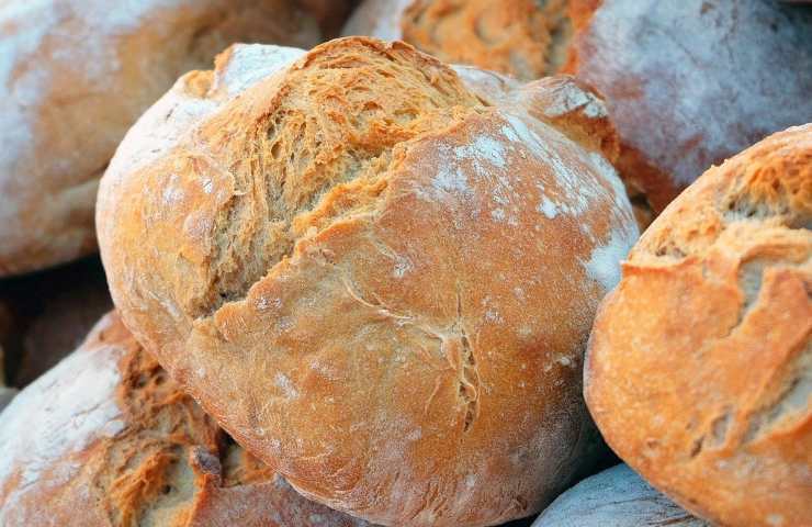 Pane allo yogurt come farlo