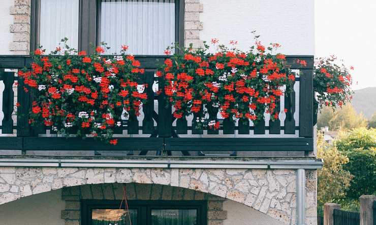 balcone fiorito in autunno