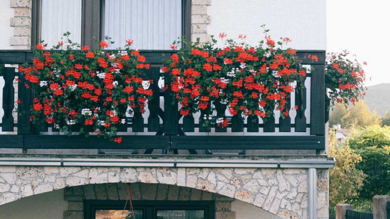 balcone fiorito in autunno
