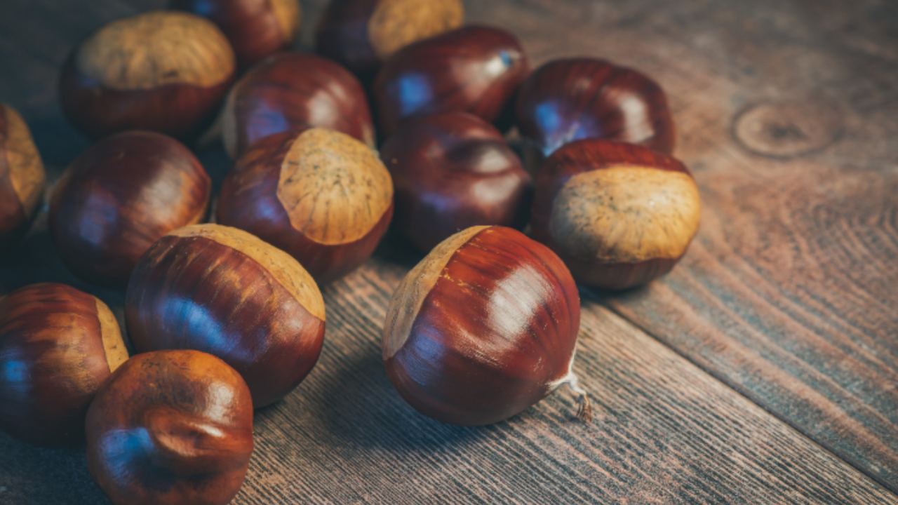 ricetta castagne bollite