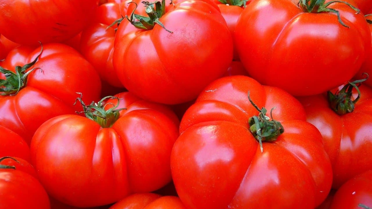 mangiare pomodori buccia