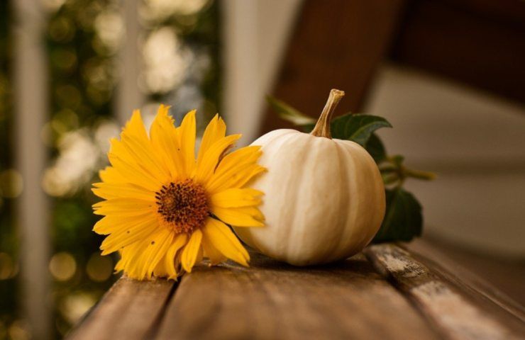 chips di zucca ricetta