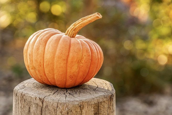 vellutata di zucca ricetta