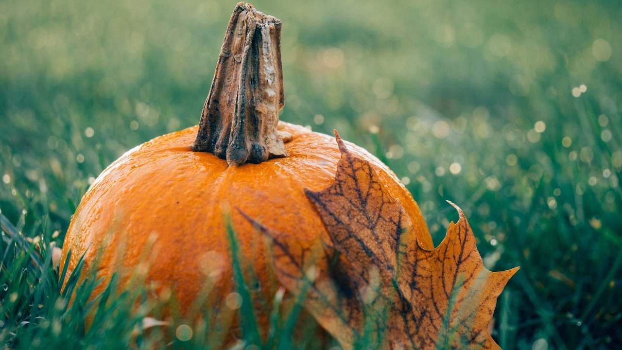 ciambellone alla zucca, ricetta