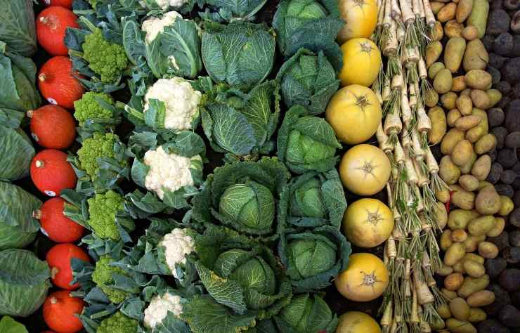 Cavolfiori, verza, patate, carote, broccoli