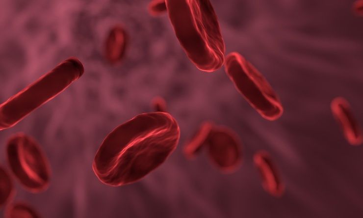 Cellule e globuli nel sangue vanno tenuti d'occhio