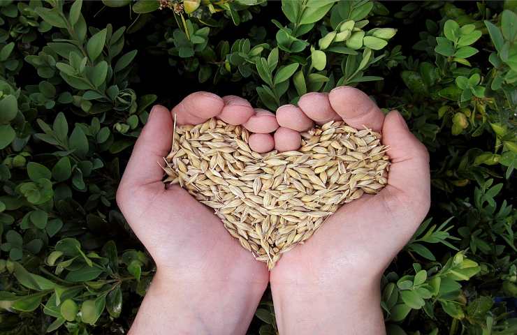 Come pesare il cibo con le mani