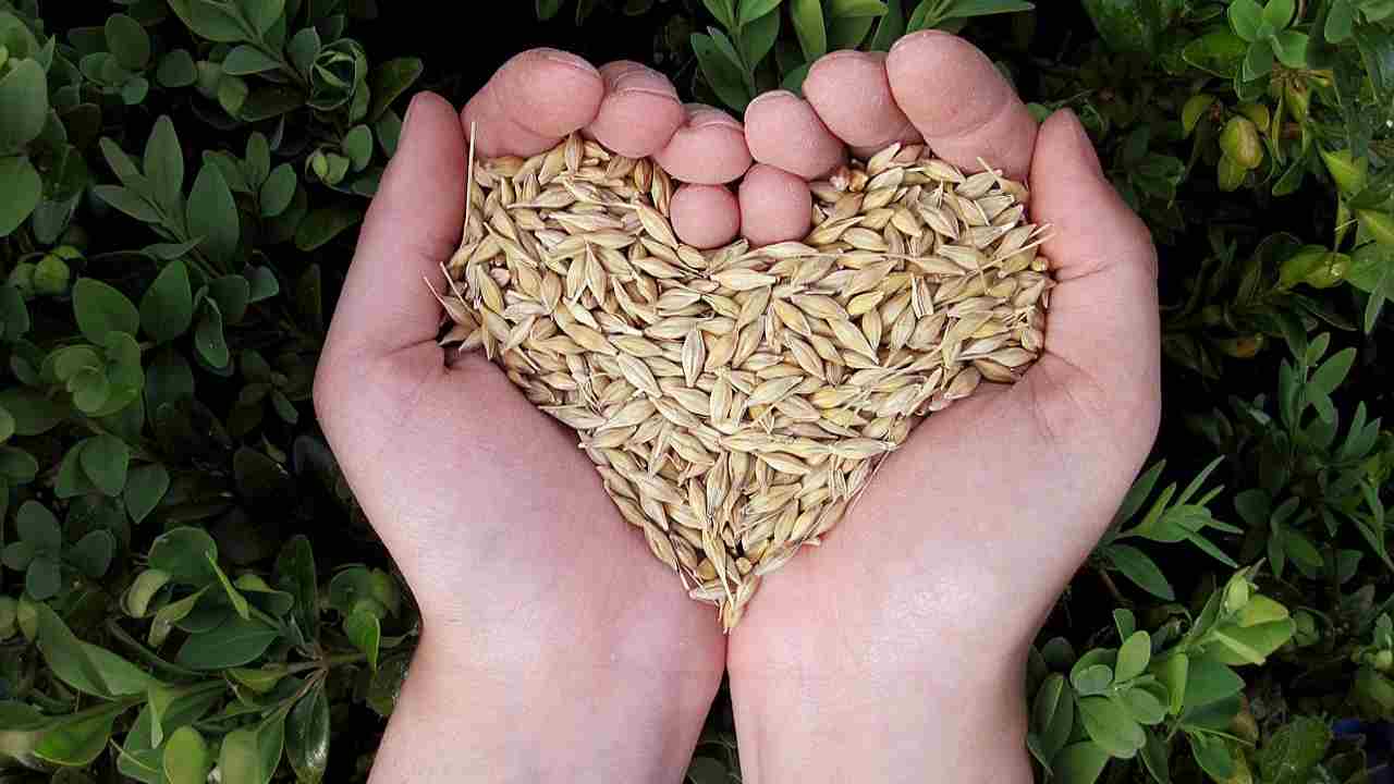 Come pesare il cibo con le mani